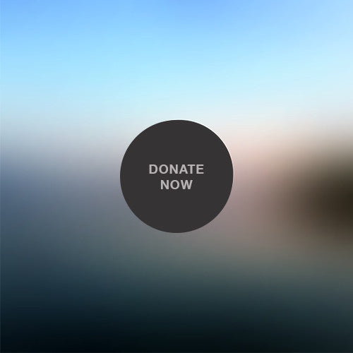 Donate Now